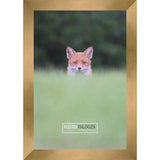 14x8 Contemporary Bronze Complete Wood Picture Frame with UV Acrylic, Foam Board Backing, & Hardware