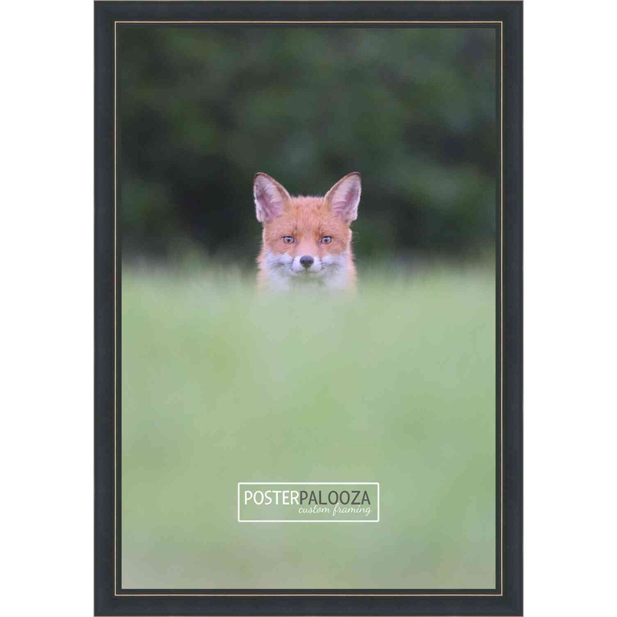 14x8.5 Traditional Black Complete Wood Picture Frame with UV Acrylic, Foam Board Backing, & Hardware