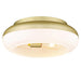 15 Inch Vintage Flush Mount Light Fixture