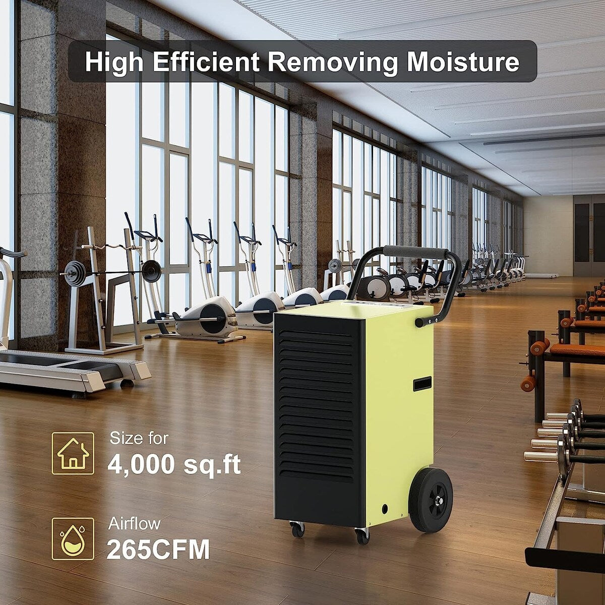 150 pt. Commercial Dehumidifiers with Drain Hose and Water Tank
