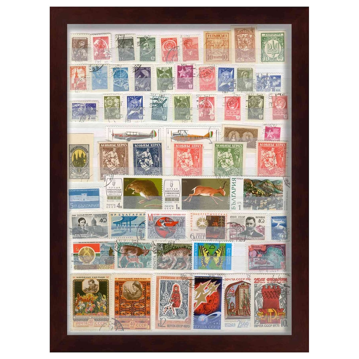 15x18 Cherry Brown | 1" Depth of Usuable Space| Vertical or Horizontal Display | Interior Size 15x18 or 18x15 In
