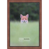 15x19 Traditional Mahogany Complete Wood Picture Frame with UV Acrylic, Foam Board Backing, & Hardware
