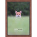 15x19 Traditional Mahogany Complete Wood Picture Frame with UV Acrylic, Foam Board Backing, & Hardware