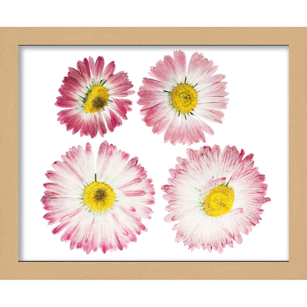 15x20 Natural | 1" Depth of Usuable Space| Vertical or Horizontal Display | Interior Size 15x20 or 20x15 In