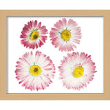 15x20 Natural | 1" Depth of Usuable Space| Vertical or Horizontal Display | Interior Size 15x20 or 20x15 In