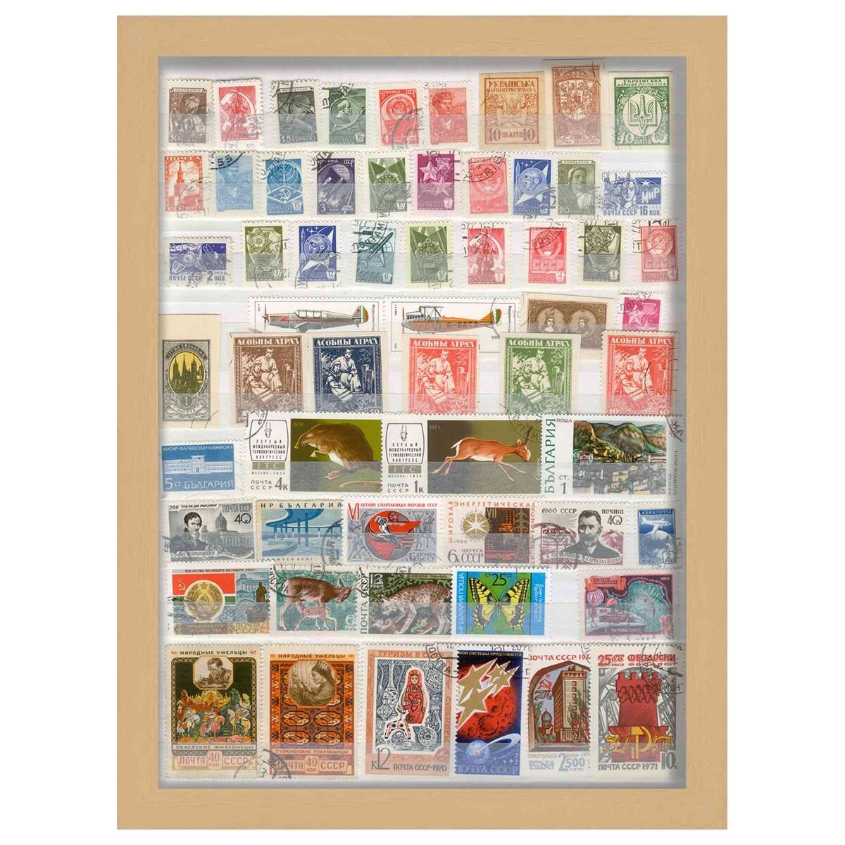 15x20 Natural | 1" Depth of Usuable Space| Vertical or Horizontal Display | Interior Size 15x20 or 20x15 In
