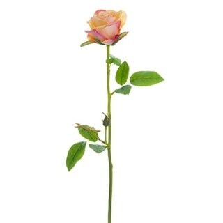 16 19"Real Touch Rose Spray Co - CORAL