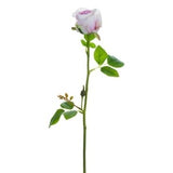 16 19"Real Touch Rose Spray Pk - Pink