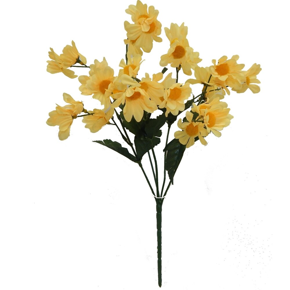 16" tall daisy bush x 5
