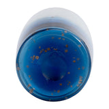 16''Hx7" Diameter Glass Vase, Two Toned White/Blue, Functional and Decorative Accent for Room Decor, Table Centerpiece,