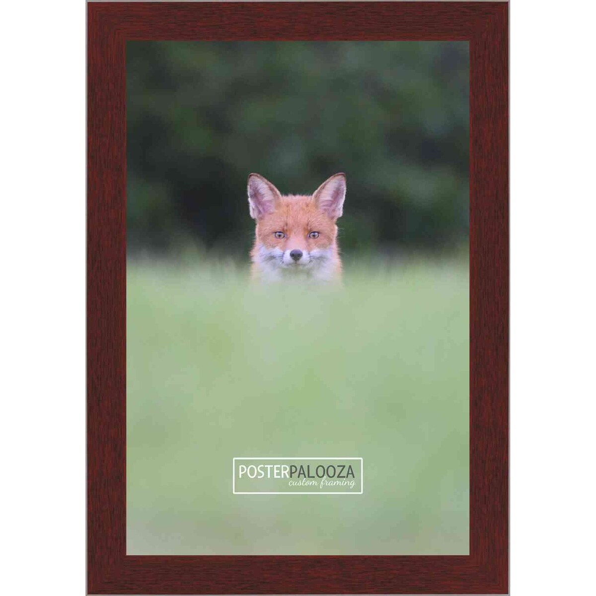 16x10 Traditional Mahogany Complete Wood Picture Frame with UV Acrylic, Foam Board Backing, & Hardware