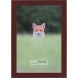 16x10 Traditional Mahogany Complete Wood Picture Frame with UV Acrylic, Foam Board Backing, & Hardware