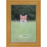 16x8 Traditional Gold Complete Wood Picture Frame with UV Acrylic, Foam Board Backing, & Hardware