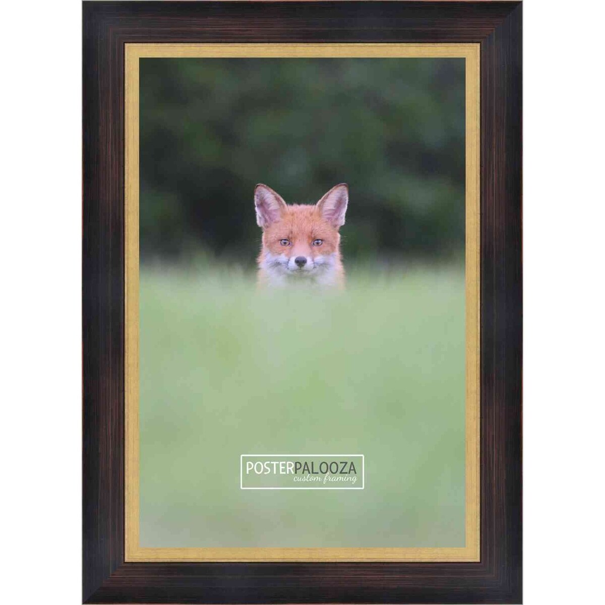 16x8 Traditional Mahogany Complete Wood Picture Frame with UV Acrylic, Foam Board Backing, & Hardware