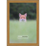 17x13 Traditional Antique Gold Complete Wood Picture Frame with UV Acrylic, Foam Board Backing, & Hardware