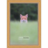 17x20 Traditional Gold Complete Wood Picture Frame with UV Acrylic, Foam Board Backing, & Hardware