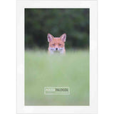 17x22 Traditional White Complete Wood Picture Frame with UV Acrylic, Foam Board Backing, & Hardware