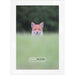 17x22 Traditional White Complete Wood Picture Frame with UV Acrylic, Foam Board Backing, & Hardware