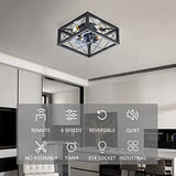 18 Inch Caged Ceiling Fan with Lights Remote Control for APP