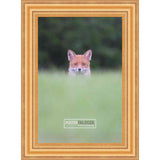 18x13 Contemporary Gold Complete Wood Picture Frame with UV Acrylic, Foam Board Backing, & Hardware