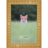 18x28 Bamboo Gold Complete Wood Picture Frame with UV Acrylic, Foam Board Backing, & Hardware