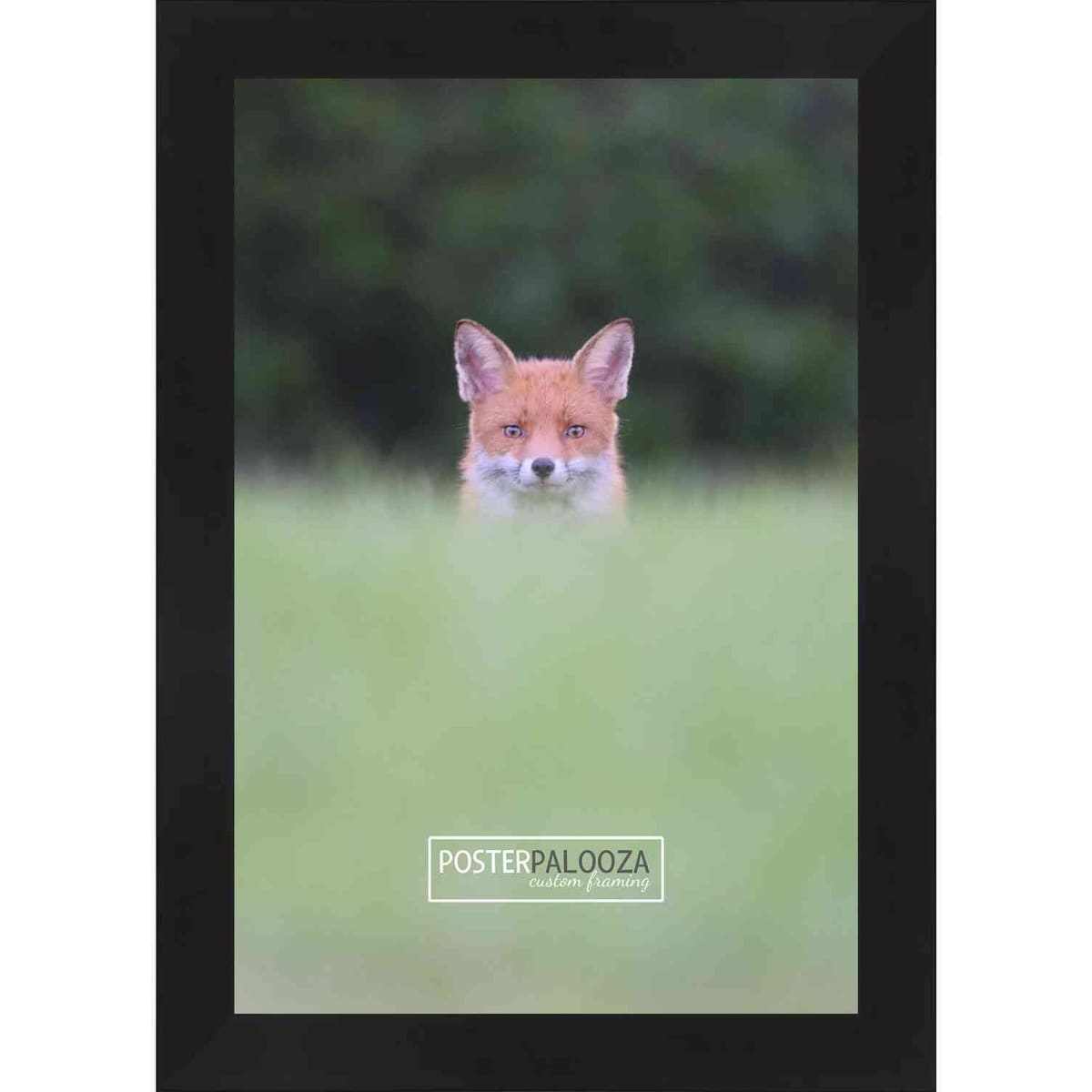 18x30 Contemporary Black Complete Wood Picture Frame with UV Acrylic, Foam Board Backing, & Hardware