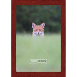 18x30 Traditional Cherry Complete Wood Picture Frame with UV Acrylic, Foam Board Backing, & Hardware