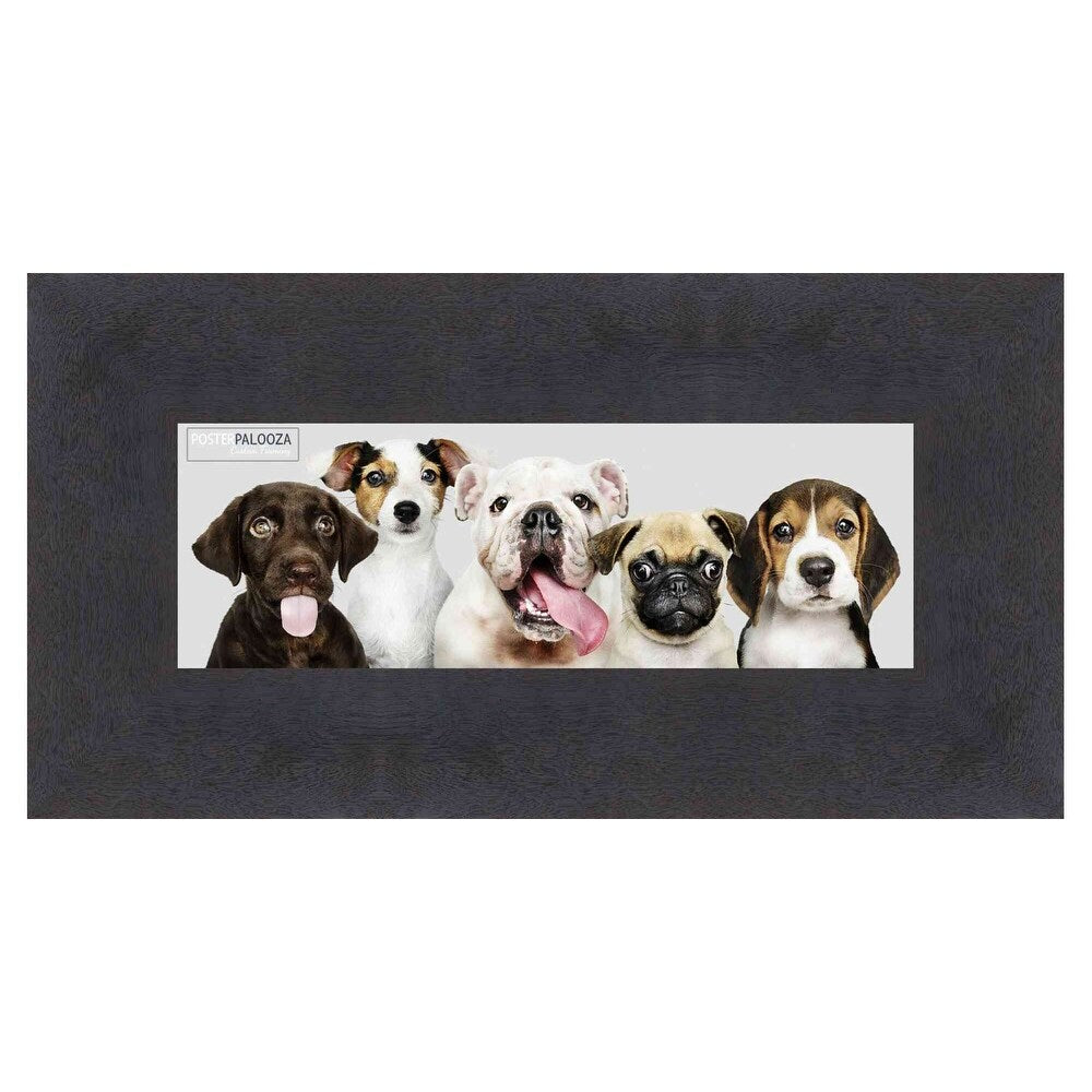 18x6 Contemporary Cappuccino Complete Wood Picture Frame with UV Acrylic, Foam Board Backing, & Hardware