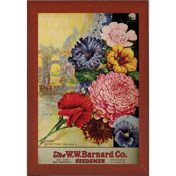 1926 Barnard Asters-VINAPP131501 Framed Print 20"x13.25" by Vintage Apple Collection