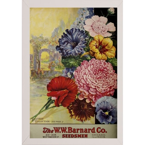 1926 Barnard Asters-VINAPP131501 Framed Print 20"x13.25" by Vintage Apple Collection