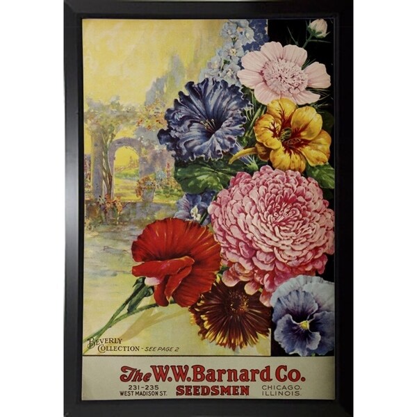 1926 Barnard Asters-VINAPP131501 Framed Print 20"x13.25" by Vintage Apple Collection