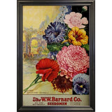 1926 Barnard Asters-VINAPP131501 Framed Print 20"x13.25" by Vintage Apple Collection