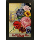 1926 Barnard Asters-VINAPP131501 Framed Print 20"x13.25" by Vintage Apple Collection