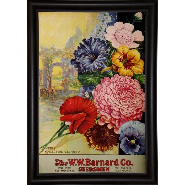 1926 Barnard Asters-VINAPP131501 Framed Print 20"x13.25" by Vintage Apple Collection