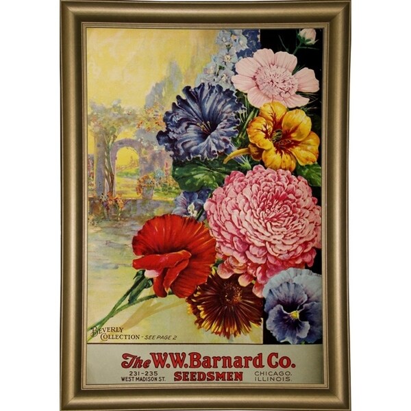 1926 Barnard Asters-VINAPP131501 Framed Print 20"x13.25" by Vintage Apple Collection