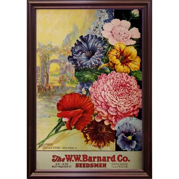 1926 Barnard Asters-VINAPP131501 Framed Print 20"x13.25" by Vintage Apple Collection