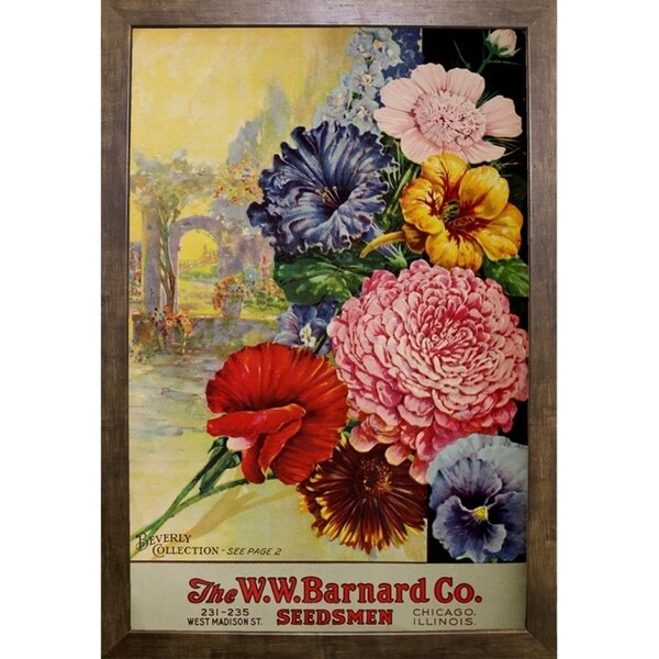 1926 Barnard Asters-VINAPP131501 Framed Print 20"x13.25" by Vintage Apple Collection