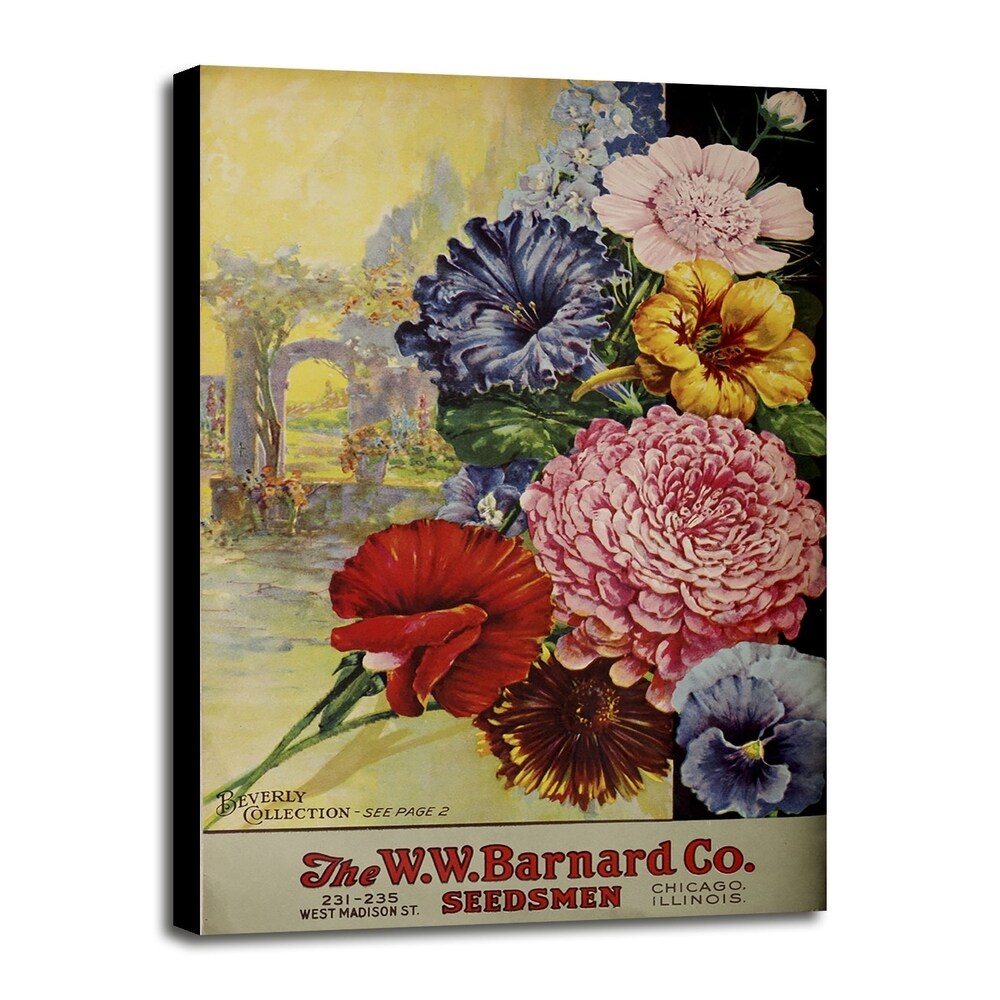 1926 Barnard Asters-VINAPP131501 Framed Print 20"x13.25" by Vintage Apple Collection