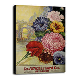 1926 Barnard Asters-VINAPP131501 Framed Print 20"x13.25" by Vintage Apple Collection