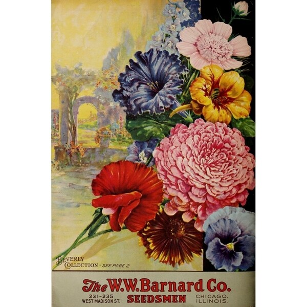 1926 Barnard Asters-VINAPP131501 Framed Print 20"x13.25" by Vintage Apple Collection