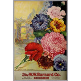 1926 Barnard Asters-VINAPP131501 Framed Print 20"x13.25" by Vintage Apple Collection