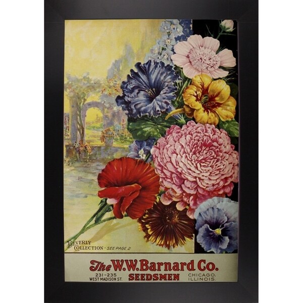 1926 Barnard Asters-VINAPP131501 Framed Print 20"x13.25" by Vintage Apple Collection