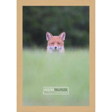 19x25 Traditional Natural Complete Wood Picture Frame with UV Acrylic, Foam Board Backing, & Hardware