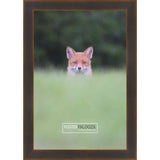 19x26 Contemporary Bronze Complete Wood Picture Frame with UV Acrylic, Foam Board Backing, & Hardware