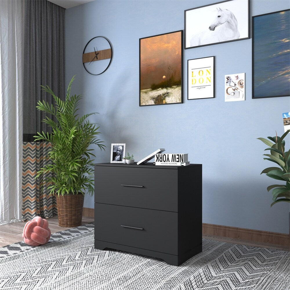2 -Drawer Lateral Filing Cabinet Storage Filing Cabinet
