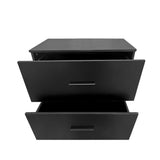 2 -Drawer Lateral Filing Cabinet Storage Filing Cabinet