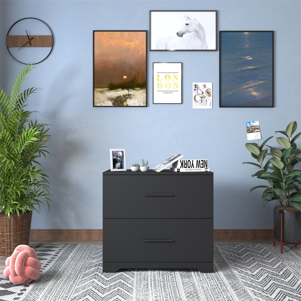 2 -Drawer Lateral Filing Cabinet Storage Filing Cabinet