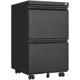 2 Drawer File Cabinet with Lock, Metal Mobile Filing Cabinet