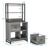 2 Drawer File Cabinet, Vertical Filing Cabinet for Home Office