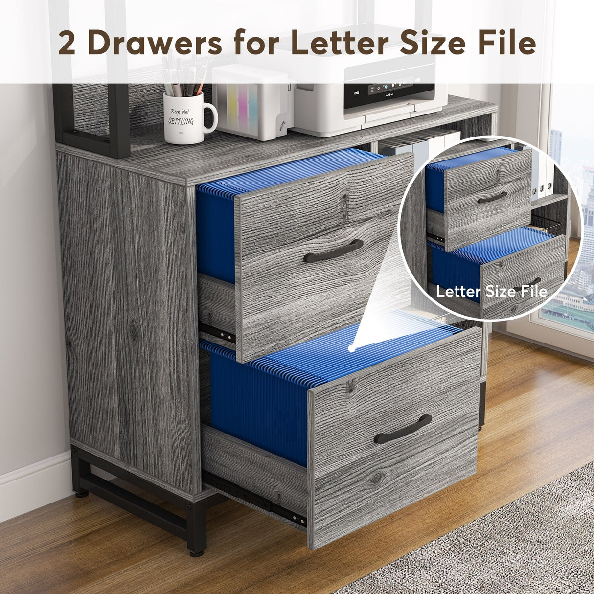 2 Drawer File Cabinet, Vertical Filing Cabinet for Home Office